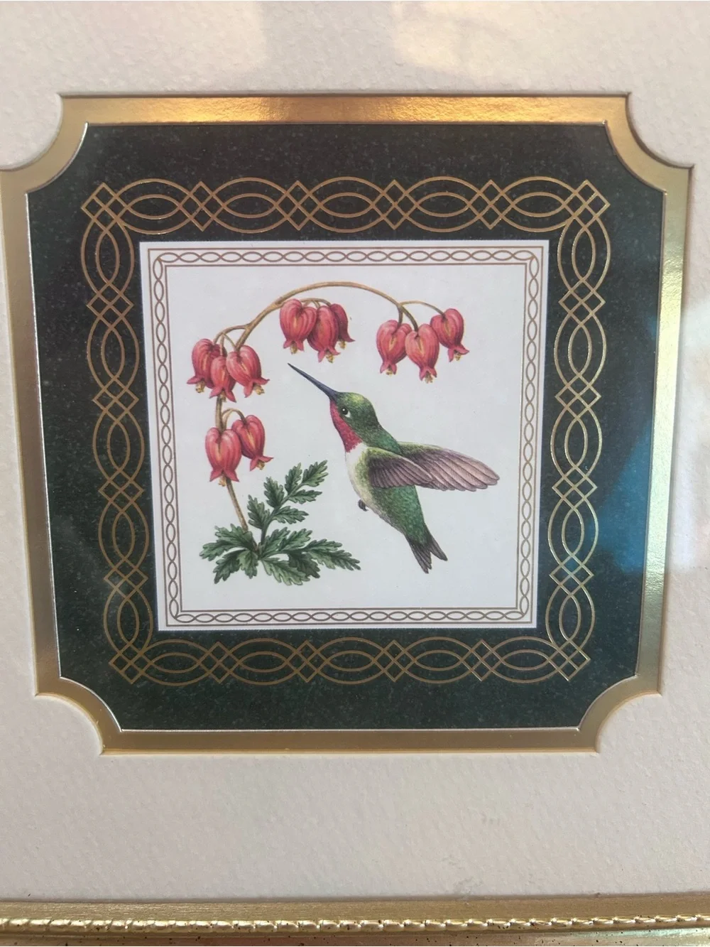 Gold Framed Hummingbird Botanical Wall Art - Gold